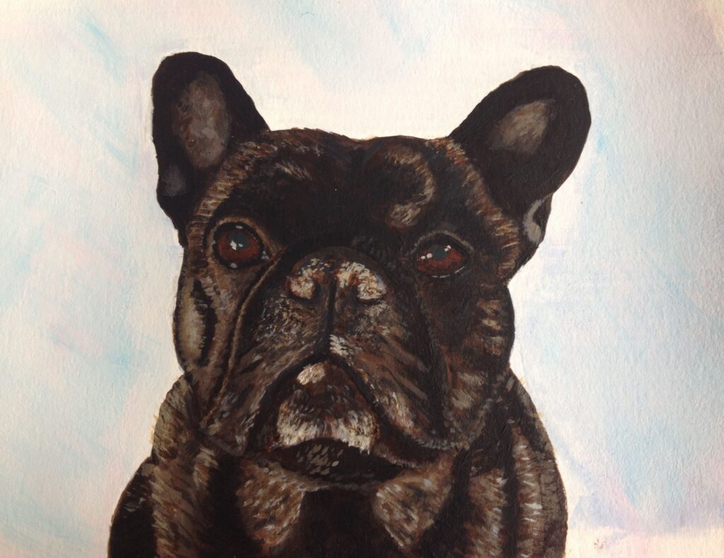 Franse Buldog | Dierenschilderij