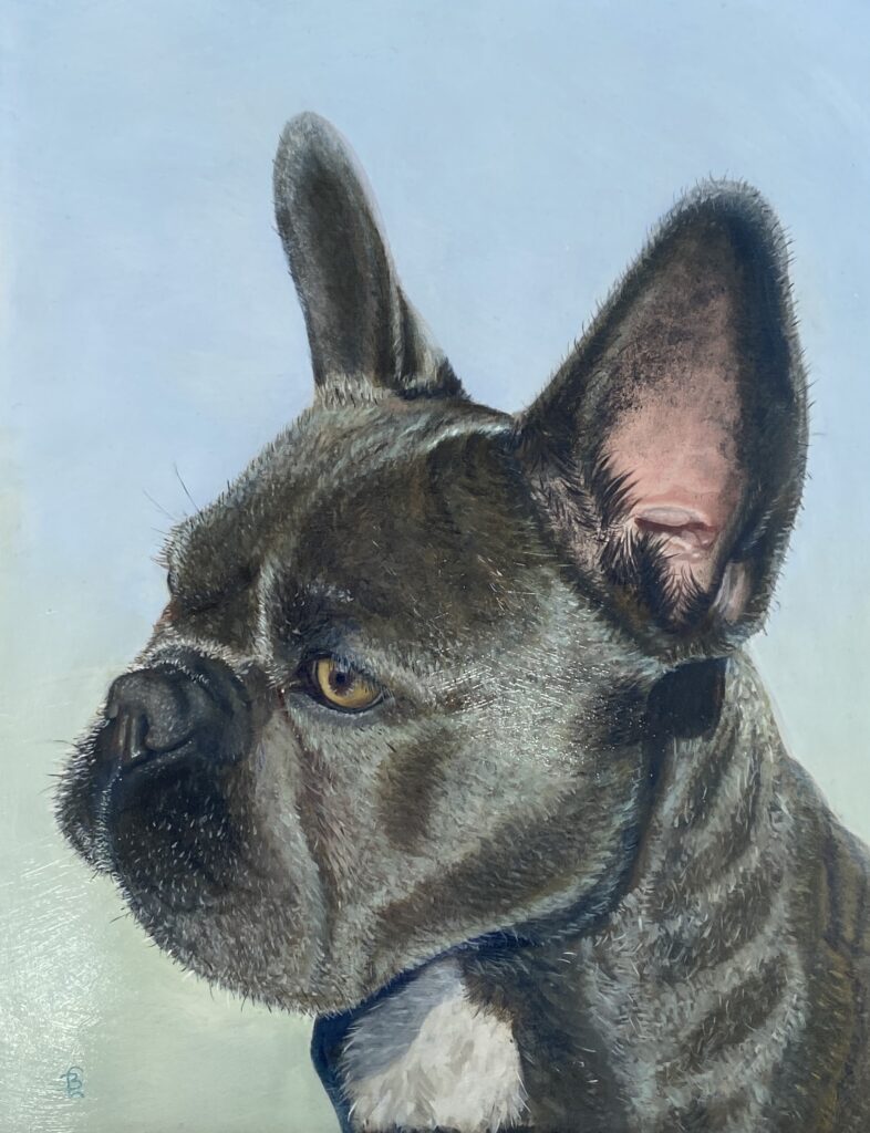 Frenchie