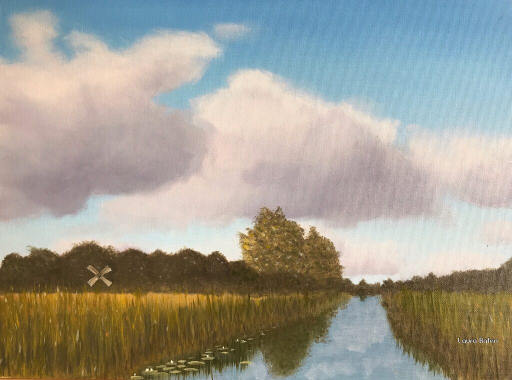 Jonen-Giethoorn | Landschap