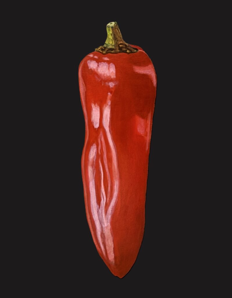 schilderij rode puntpaprika op zwarte achtergrond